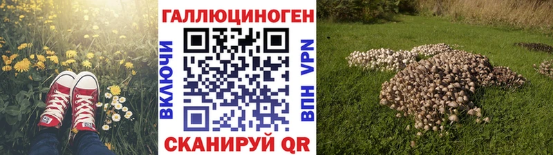 Галлюциногенные грибы Psilocybe  кракен как зайти  Волгодонск 