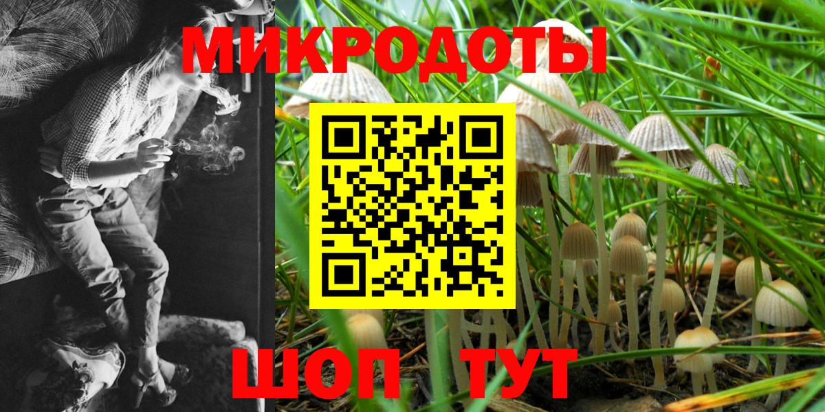 Волгодонск  Псилоцибиновые грибы MAGIC MUSHROOMS  Псилоцибиновые грибы мицелий  Вход с VPN 