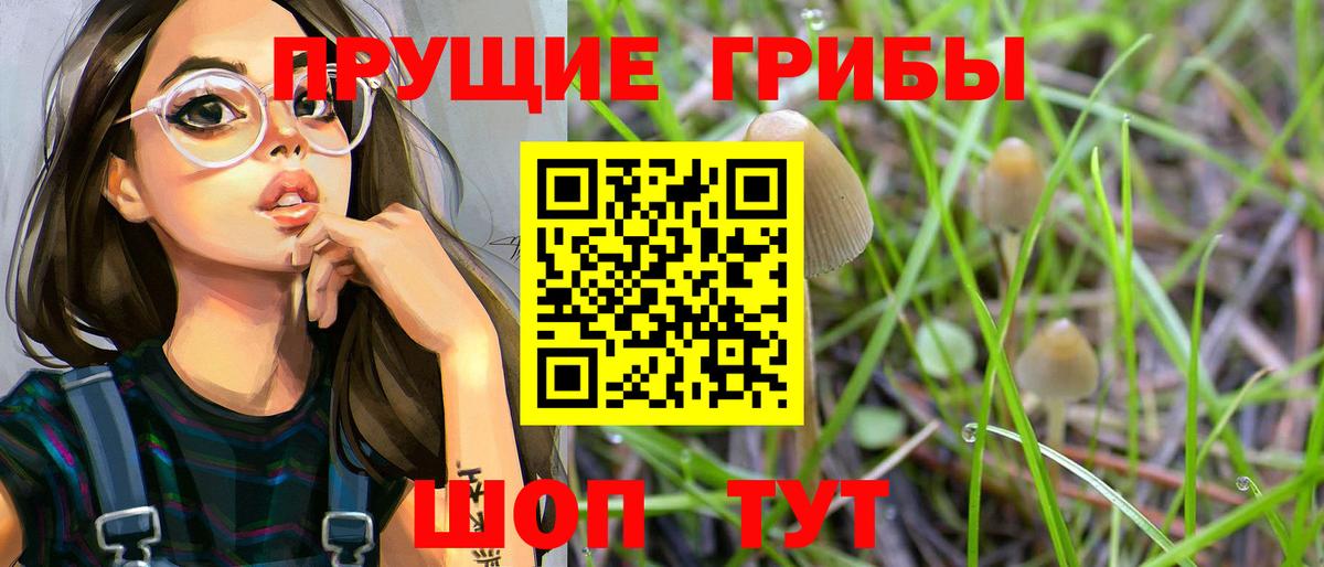 Псилоцибиновые грибы GOLDEN TEACHER Волгодонск